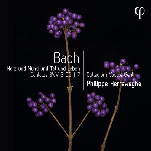Bach,j.s. / Herreweghe - Erz Und Mund Und Tat Und Leben - Cantatas, Bwv - Music CD