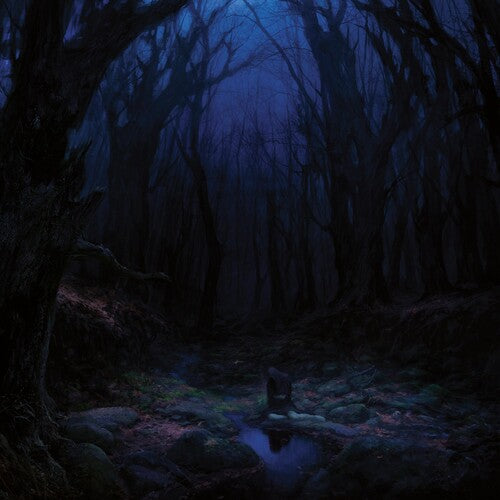 Woods Of Desolation - Torn Beyond Reason - Vinyl Record