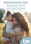 Love Destination Courses: Meditations For Dealings - Love Destination Courses: Meditations For Dealings - DVD