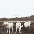 Foxing - Albatross: Ten Years - Vinyl Record