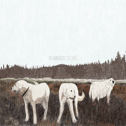 Foxing - Albatross: Ten Years - Vinyl Record