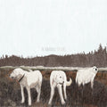 Albatross: Ten Years (Brwn) [Colored Vinyl] Vinyl Record