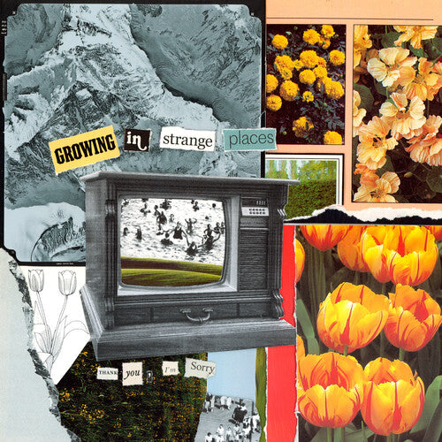 Thank You, I'm Sorry - Growing In Strange Places - Orange Crush - Vinyl Record