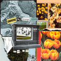 Growing In Strange Places - Orange Crush [Colored Vinyl] Vinyl Record