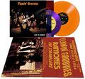 Flamin' Groovies - Rockin' The Roundhouse - Vinyl Record
