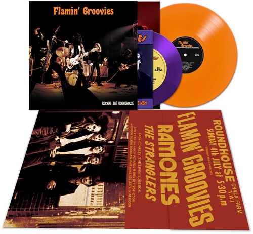 Flamin' Groovies - Rockin' The Roundhouse - Vinyl Record