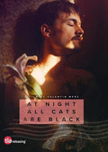 At Night All The Cats Are Black - At Night All The Cats Are Black - DVD
