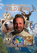Wild America Special 7 Wild Wings - Wild America Special 7 Wild Wings - DVD