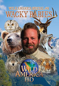 Wild America Special 8 Wacky Babies - Wild America Special 8 Wacky Babies - DVD