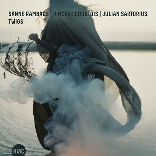Rambags,sanne / Courtois,vincent - Twigs - Music CD