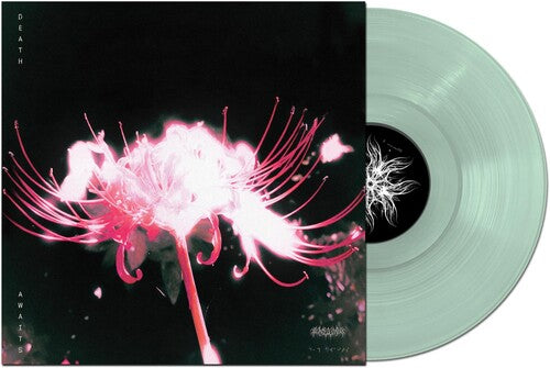 Blind Equation - Death Awaits - Vinyl Record