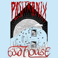 Positronix - Bad House - Vinyl Record