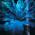 Hum - Downward Is Heavenward