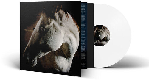 Brother Dege - How To Kill A Horse - Vinyl Record