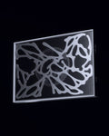 Xg - New Dna (g Version) - Music CD