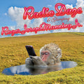 Manning,roger Joseph Jr - Radio Daze / Glamping - Music CD