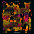 Selvutsletter [LP] Vinyl Record