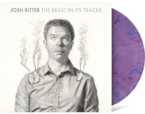 Ritter,josh - Beast In Its Tracks - Vinyl Record