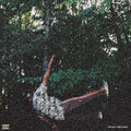 Watson,chester - Fish Don't Climb Trees - Vinyl Record