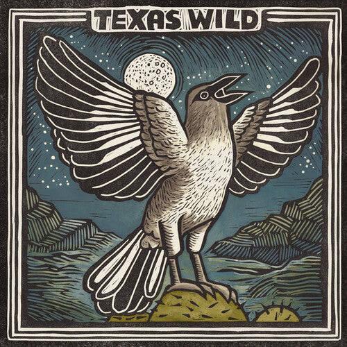 Texas Wild / Various - Texas Wild / Various - Vinyl Record
