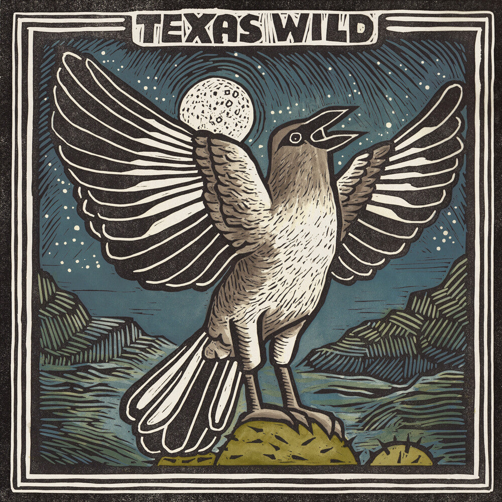 Texas Wild / Various - Texas Wild / Various [LP]