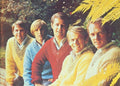 Antwerp Philharmonic Orchestra - Seven Symphonies: Classical Tribute To Beach Boys - Music CD