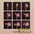Sx2 - Steady Up - Vinyl Record