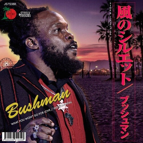 Bushman - What You Won't Do For Love - Vinyl Record