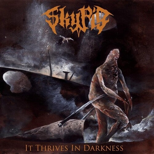 Sky Pig - It Thrives In Darkness - Vinyl Record