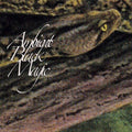 Rainforest Spiritual Enslavement - Ambient Black Magic - Vinyl Record