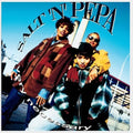 Salt-n-pepa - Very Necessary - Vinyl Record