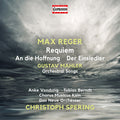 Mahler / Reger / Das Neue Orchester - Orchestral Songs - Music CD