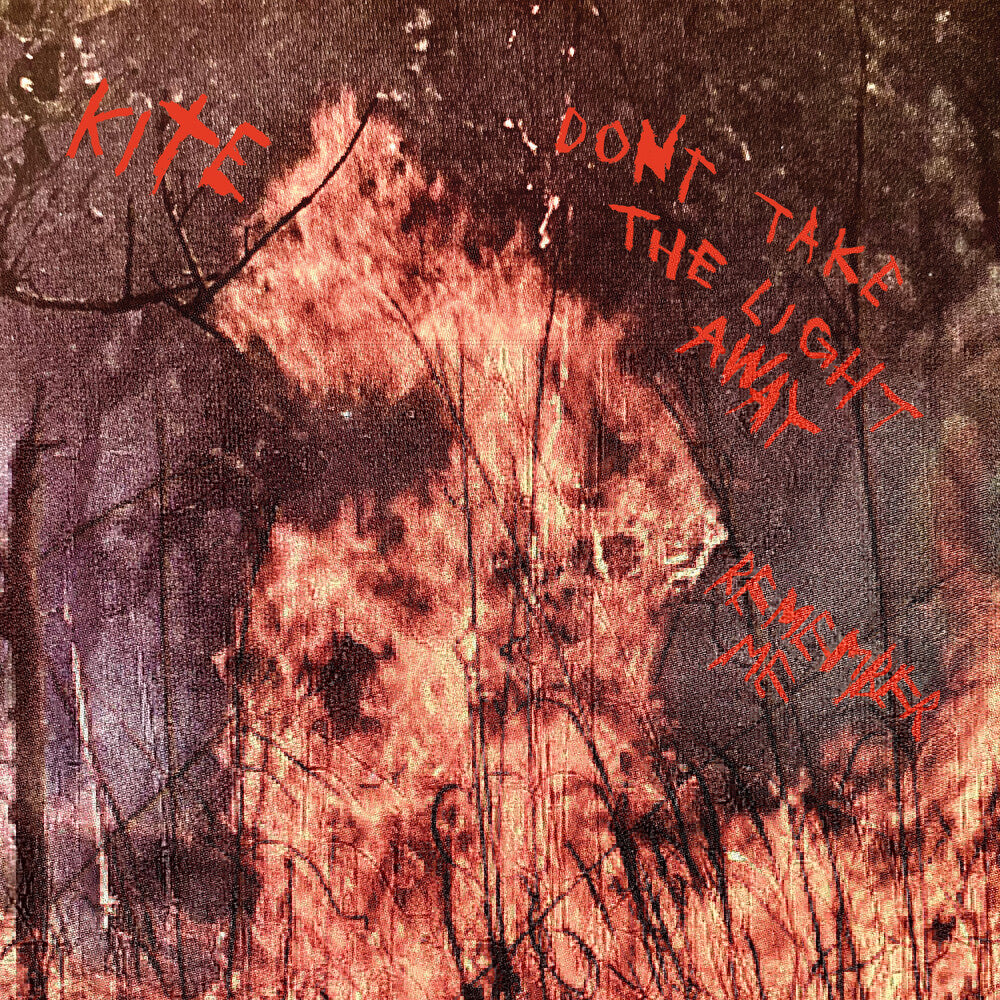 Don't Take The Light Away / Remember Me [7" Vinyl] Vinyl Record