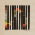 In The Pines - Painting By Numbers - Orange - Vinyl Record