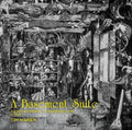 Marien,tim - Basement Suite - Vinyl Record