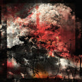 Ruin Lust - Dissimulant - Music CD