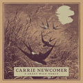 Newcomer,carrie - Great Wild Mercy - Music CD