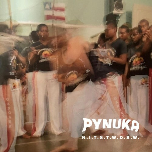 Pynuka - N.i.t.s.t.w.d.s.w. - Music CD