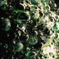 Scaler - Loam / New Symbols - Vinyl Record