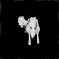 Sigur Ros - Kveikur - Vinyl Record