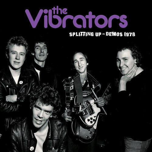 Vibrators - Splitting Up Demos 1978 - Vinyl Record