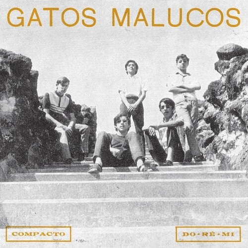 Gatos Malucos - Sem Ver O Luar - Vinyl Record