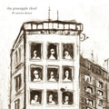 Pineapple Thief - 10 Stories Down - Music CD