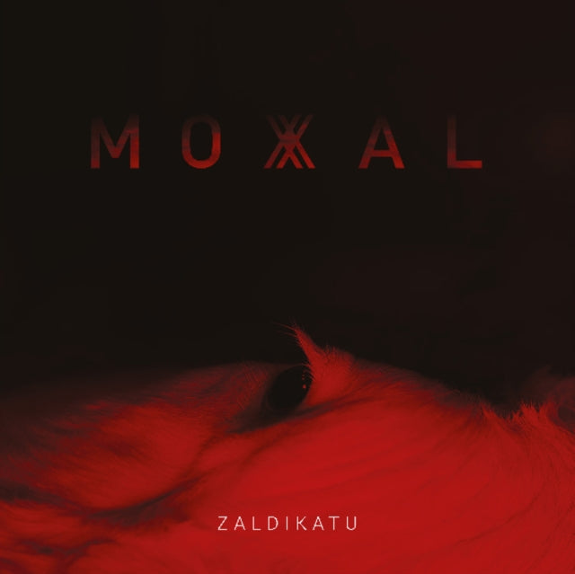 Zaldikatu
