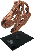 Jurassic Park - T-rex Skull Scaled Prop Replica - Jurassic Park - T-rex Skull Scaled Prop Replica - Collectibles