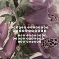 Ingrid Laubrock - Monochromes - Music CD