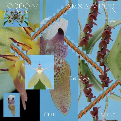 Alexander,jordon - How The Dogs Chill 2 - Vinyl Record