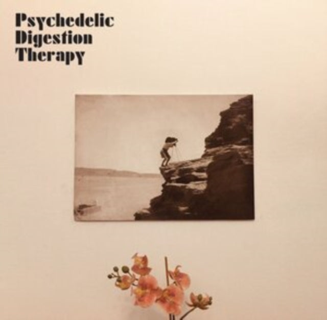 Psychedelic Digestion Therapy - Psychedelic Digestion Therapy - LP Vinyl