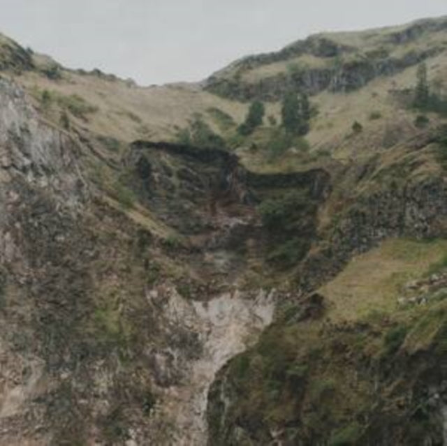 Escalator Music (2LP)