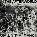 Om Unit/Tm404 - In The Afterworld - LP Vinyl
